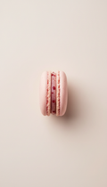 Classic Macaron x 1